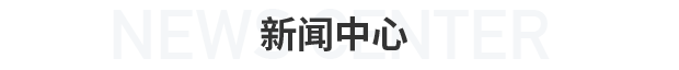 大红鹰dhy(中国)有限公司官网