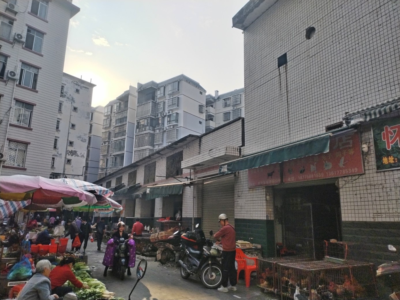 大红鹰dhy河池分公司招租公告