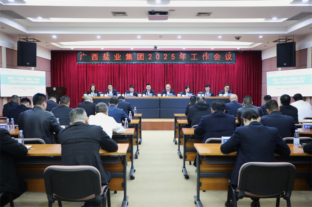 广西大红鹰dhy集团召开2025年工作会议